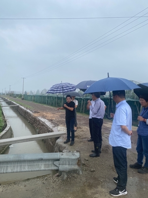 市農業農村局調研農產品產地環境監測點創建及環境保護監測工作成效綜述